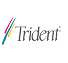 TRIDENT Graphic 3DImage9850 5424